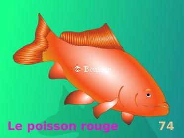 le poisson rouge 