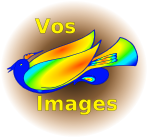 Vos images